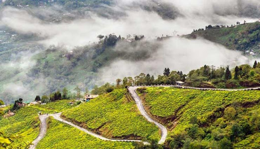 खूबसूरत वादियों का स्वर्ग दार्जीलिंग